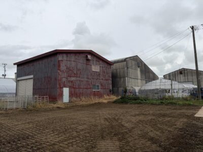image1.jpeg
